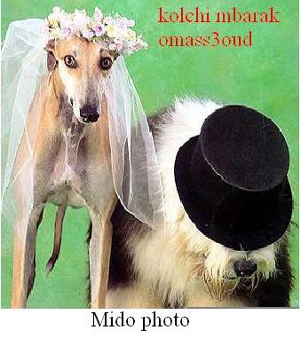 kolchi mbarak ou mss3oude